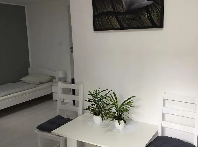 Goscinne Boryna Homestay *