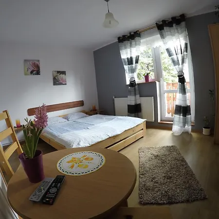 Homestay Goscinne Boryna *