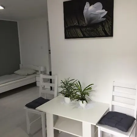Goscinne Boryna Homestay *