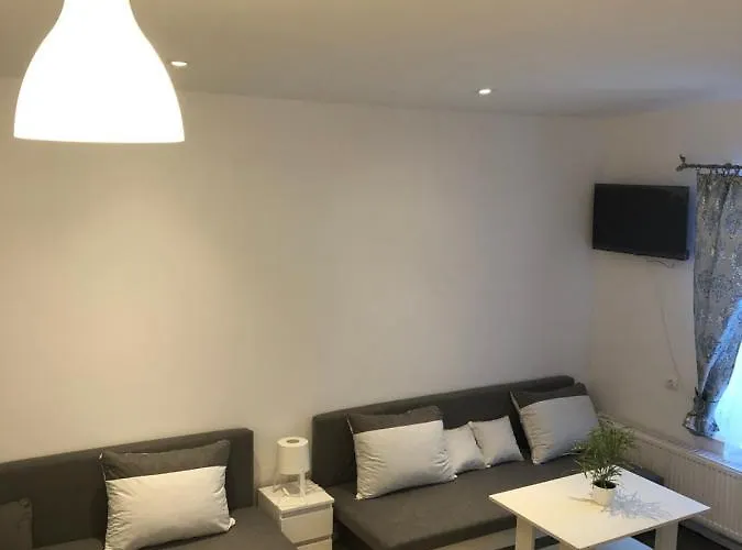 Goscinne Boryna Проживание в семье *