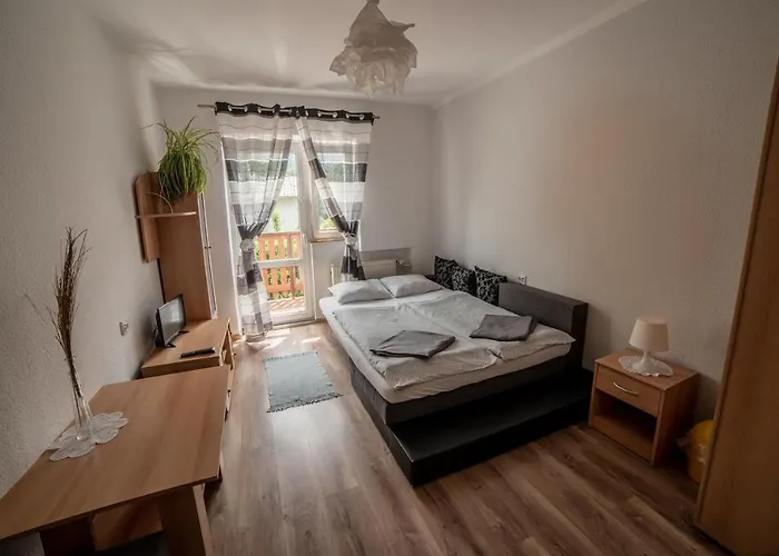 Goscinne Boryna Проживание в семье *