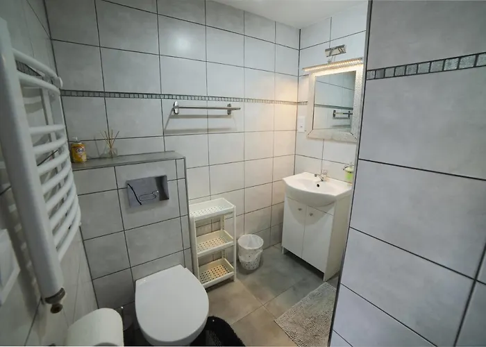 Goscinne Boryna שצ'קלארסקה פוראובה